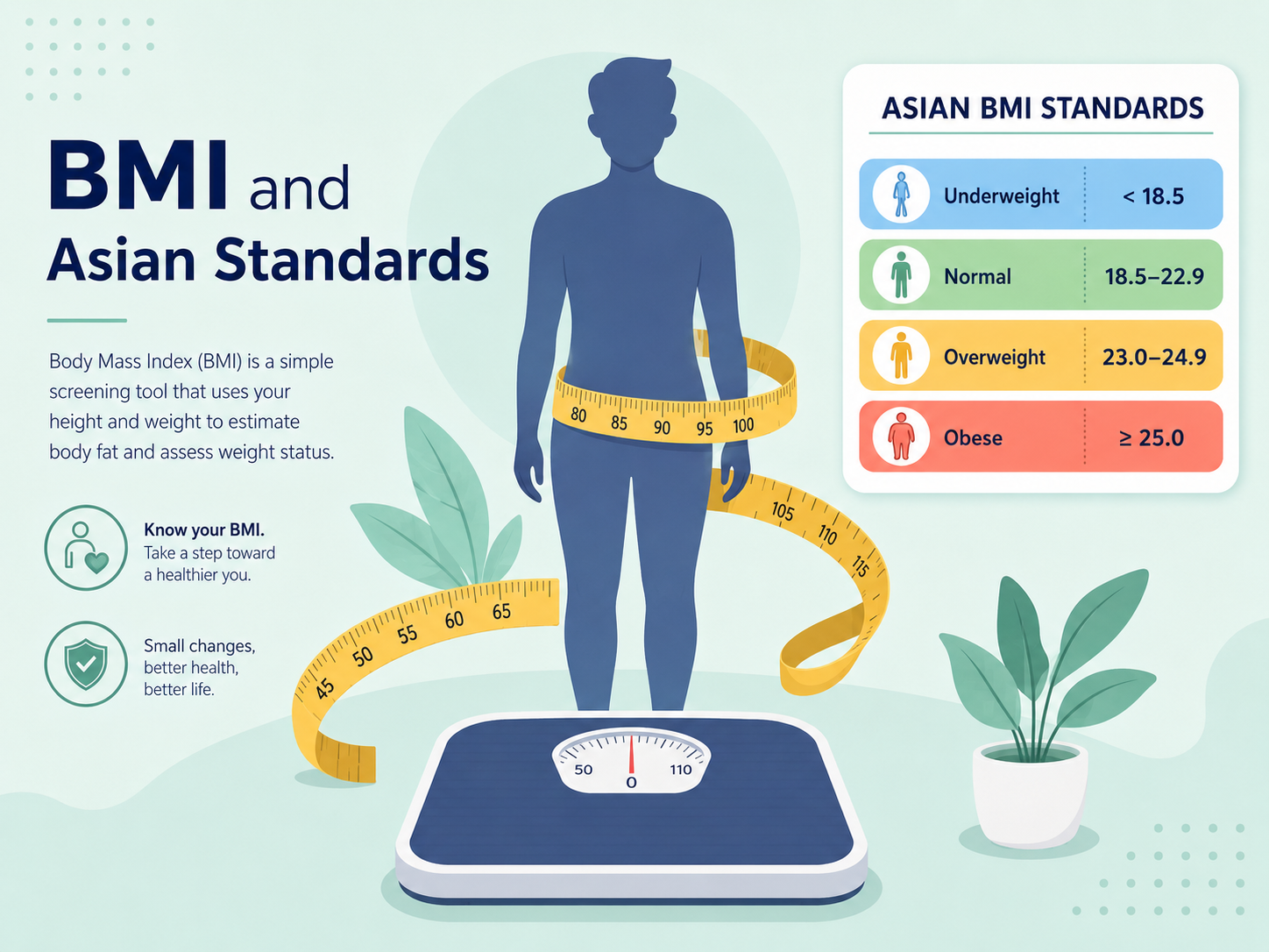 BMI standards comparison chart illustration
